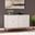 Gramdlynn Two-Door Accent Cabinet