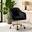 Jacinda Task Chair In Black