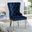 Jewett Chair Set of 2 In Blue