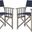 Laguna Grey Wash and Navy Director Chair Set of 2