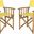 Laguna Teak and Yellow Director Chair Set of 2