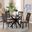 Lore Fabric and Wood 5-Piece Dining Set In Sand and Dark Brown