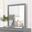Louis Philippe Mirror In Gray