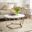Luna Faux Stone Round Coffee Table In Champagne CK5970