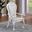 Manzanita Arm Chair Set of 2 In White