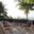 Marina 8 Piece Outdoor Patio Teak Set In Natural and Navy