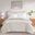 Microplush Heated Queen Blanket with Wifi Technology In Ivory