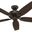 Newsome 52 Inch Ceiling Fan and Pull Chain In Premier Bronze and Roasted Walnut