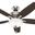 Newsome 52 Inch Ceiling Fan with LED Light Kit and Pull Chain In Brushed Nickel and Medium Walnut
