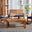 Ozark Brown and Navy 4-Piece Outdoor Living Set