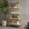 Parker Bookcase In Off-White/Natural