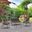 Pine 4-Piece Patio Conversation Set In Grey