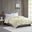 Polyester Microfiber 3M Scotchgard Solid Twin Blanket In Ivory