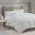 Polyester Reversible Plush To Microfiber Da Twin Blanket In Ivory