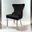 Portanova Chair Set of 2 In Black