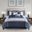 Powell 8 Piece Embroidered Queen Comforter Set In Navy