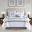 Powell 8 Piece Embroidered Queen Comforter Set In White