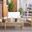 Reslor 4 Piece Living Set In White