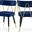 Rheingold Velvet Dining Chair Set of 2 In Navy