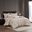 Riva 7 Piece Comforter Set In Beige
