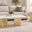 Rosauria Marble Occasional Table Set In White and Gold