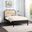 Siena Ash Wood Youth Bedroom Set In Black