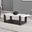 Sundbry Coffee Table In White and Black