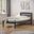 Twin Econo Bed In Dark Grey