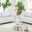 Two Piece Indoor Italian Leather Five Person Seating Set In White