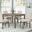 Vitaliya 48 Inch Rectangular Wood Dining Set In Black