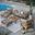 Wren 6-Piece Outdoor Patio Teak Wood Furniture Set In Natural and Driftwood