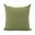 20 x 20 Pillow Seascape In Moss