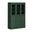 48.5 Inch Pantry Cabinet with Shaker and 2-Drawers In Green