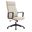 Aiaria Modern Office Chair In Tan