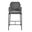 Allegra Counter Stool Set of 2 In Graphite and Black