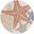 Aloha 5'3" x 5'3" Round Outdoor Rug In Ivory Multi