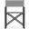 Amalfi Director's Chair Set of 4 In Light Gray and Matte Charcoal