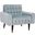 Amaris Slate Blue and Black and Brass Tufted Accent Chair