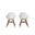 Amazonia Targaryen 2-Piece Arm Chairs Set In White