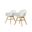 Amazonia Targaryen 2-Piece Arm Chairs Set In White