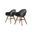 Amazonia Targaryen 2-Piece Chairs Set In Black