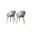 Amazonia Winterfell 2-Piece Chairs Set In Grey
