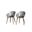 Amazonia Winterfell 2-Piece Chairs Set In Grey
