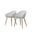 Amazonia Winterfell 2-Piece Chairs Set In White