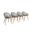 Amazonia Winterfell 4-Piece Chairs Set In Grey