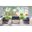 Ando 4 Piece Loveseat Set In Spectrum Indigo and Teak