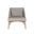 Andria Lounge Chair In Palazzo Taupe