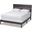 Anthony Modern and Contemporary Dark Grey Oak Finished Wood Queen Size Panel Bed