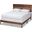 Anthony Modern and Contemporary Walnut Brown Finished Wood Queen Size Panel Bed