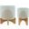 Arch Planter With Stand Set of 2 In Mint